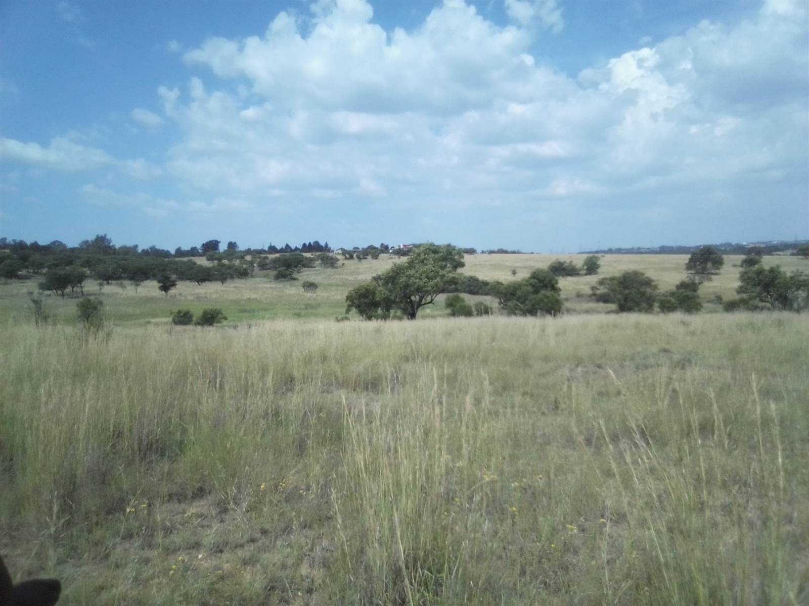 40 ha Land available in Laezonia photo number 21