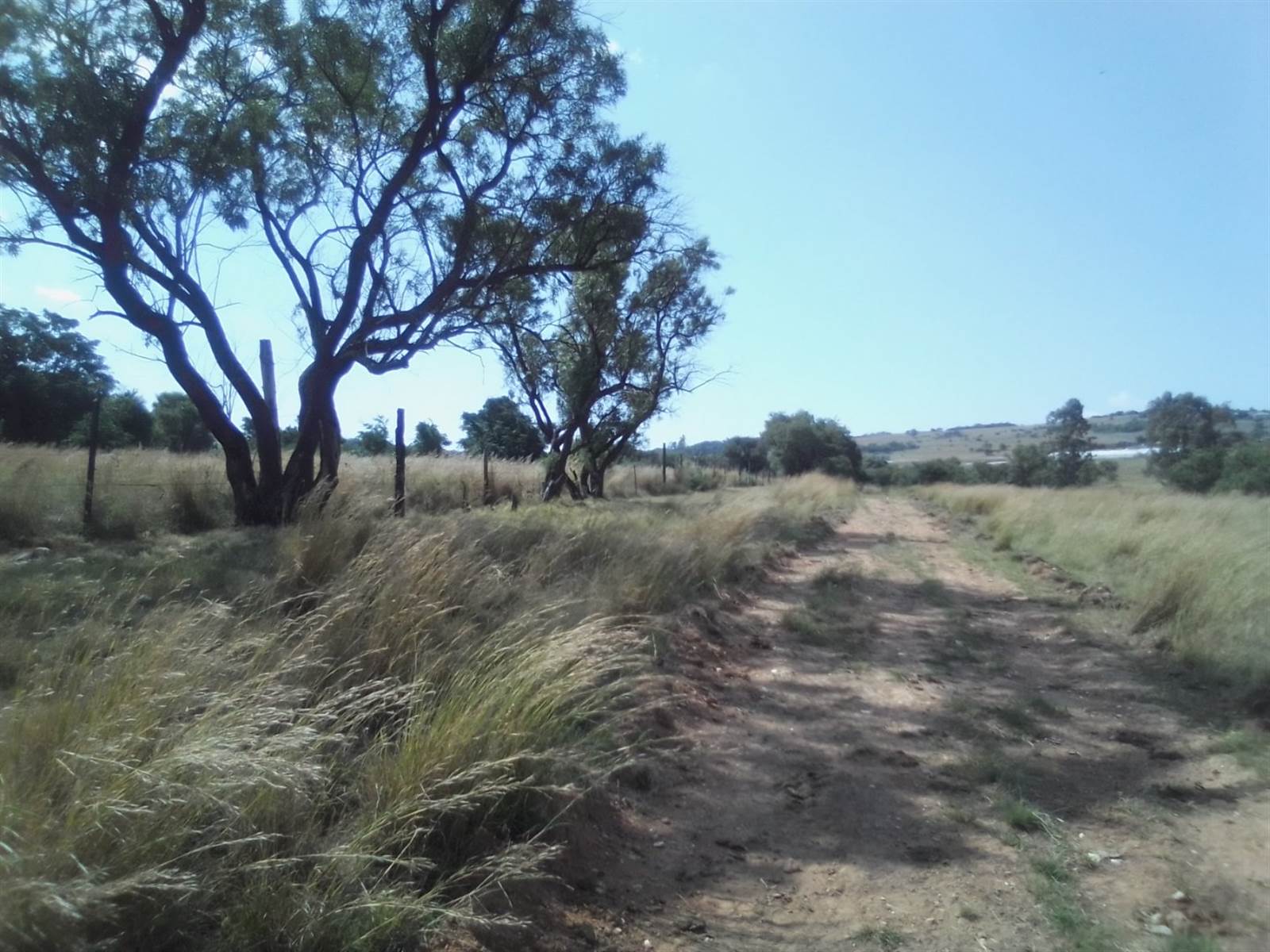 40 ha Land available in Laezonia photo number 15