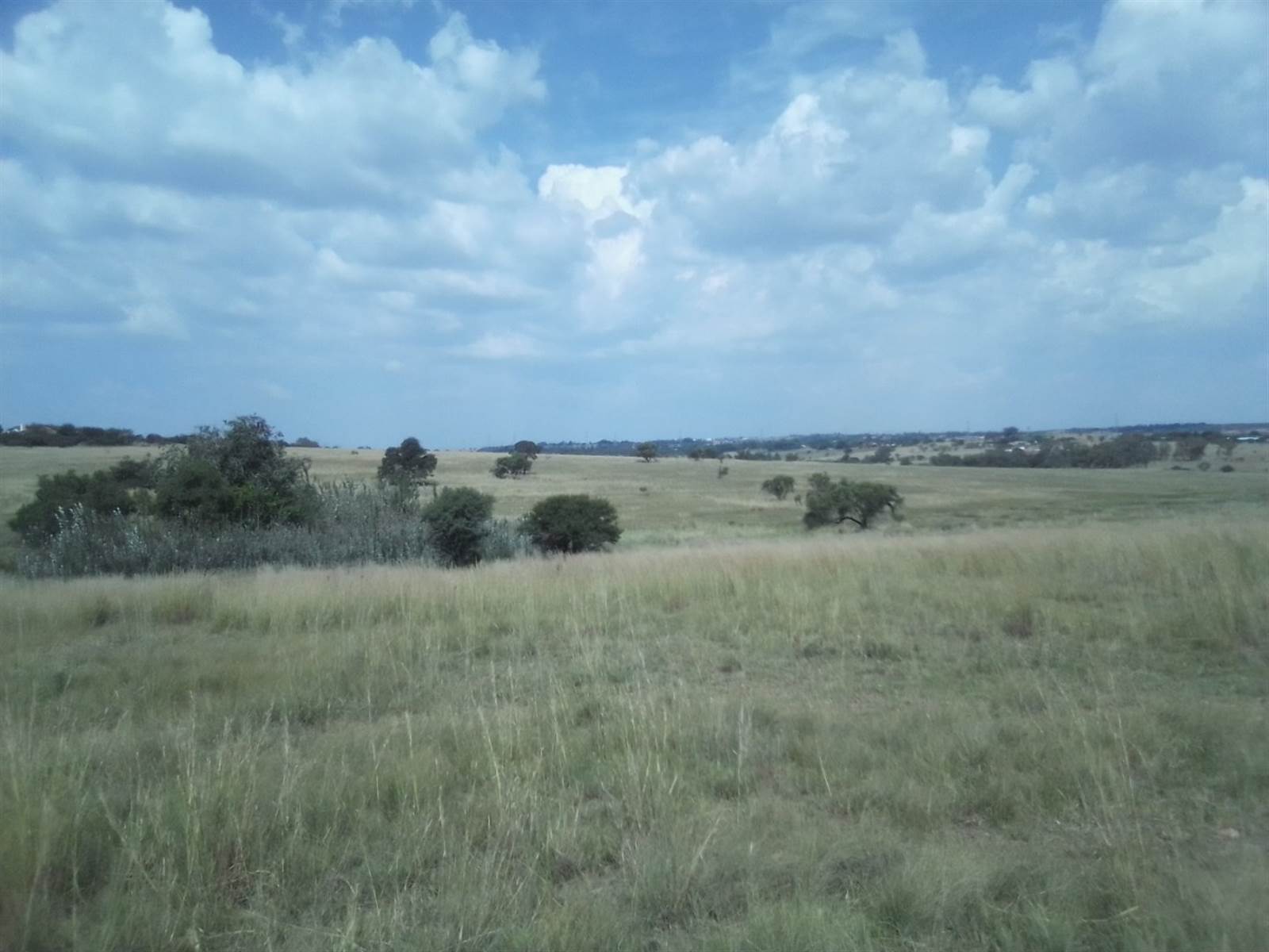 40 ha Land available in Laezonia photo number 14