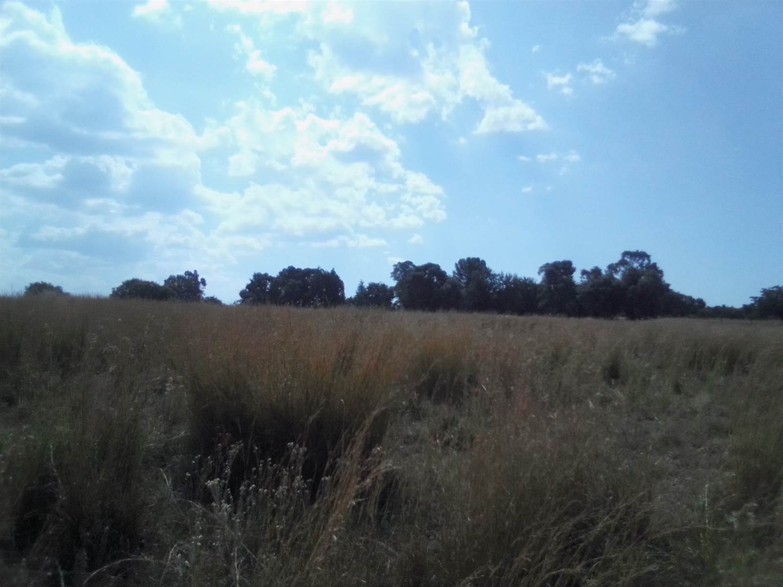 40 ha Land available in Laezonia photo number 8