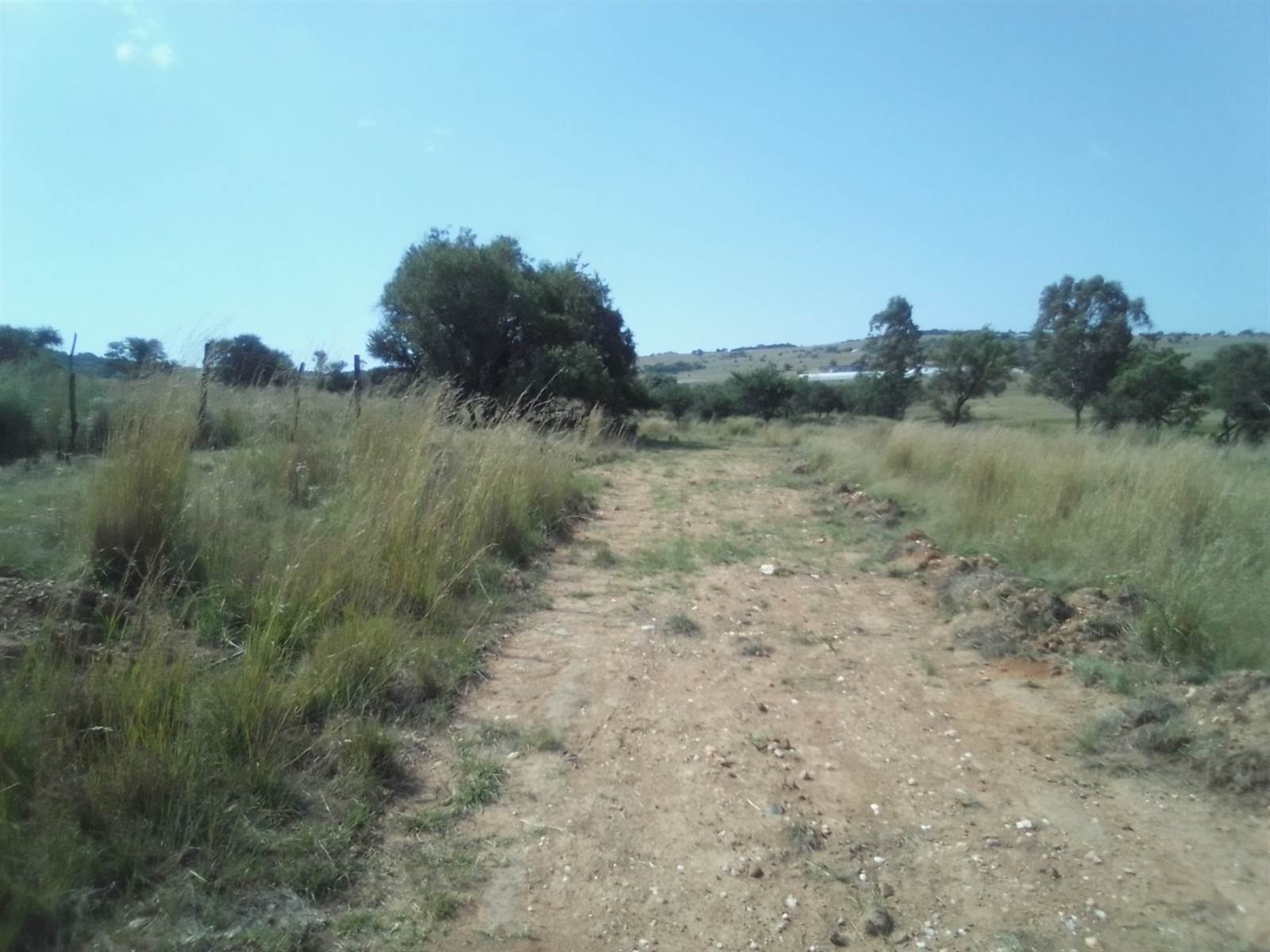 40 ha Land available in Laezonia photo number 20