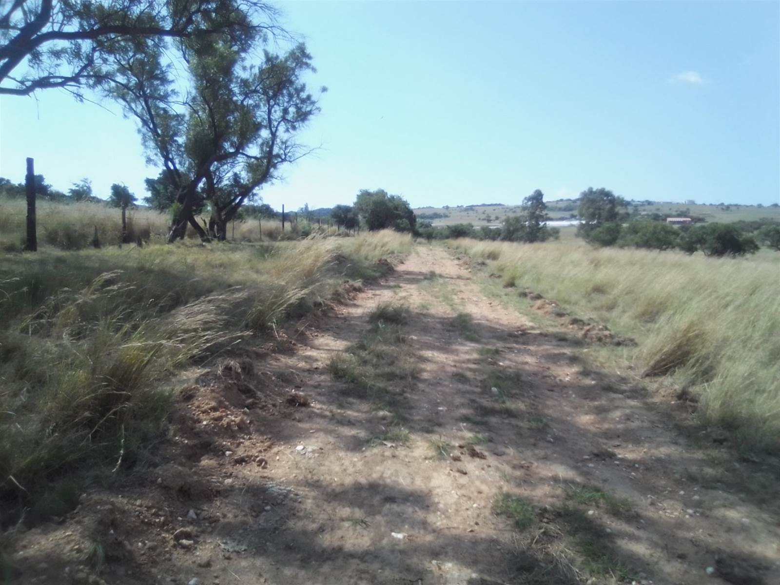 40 ha Land available in Laezonia photo number 16