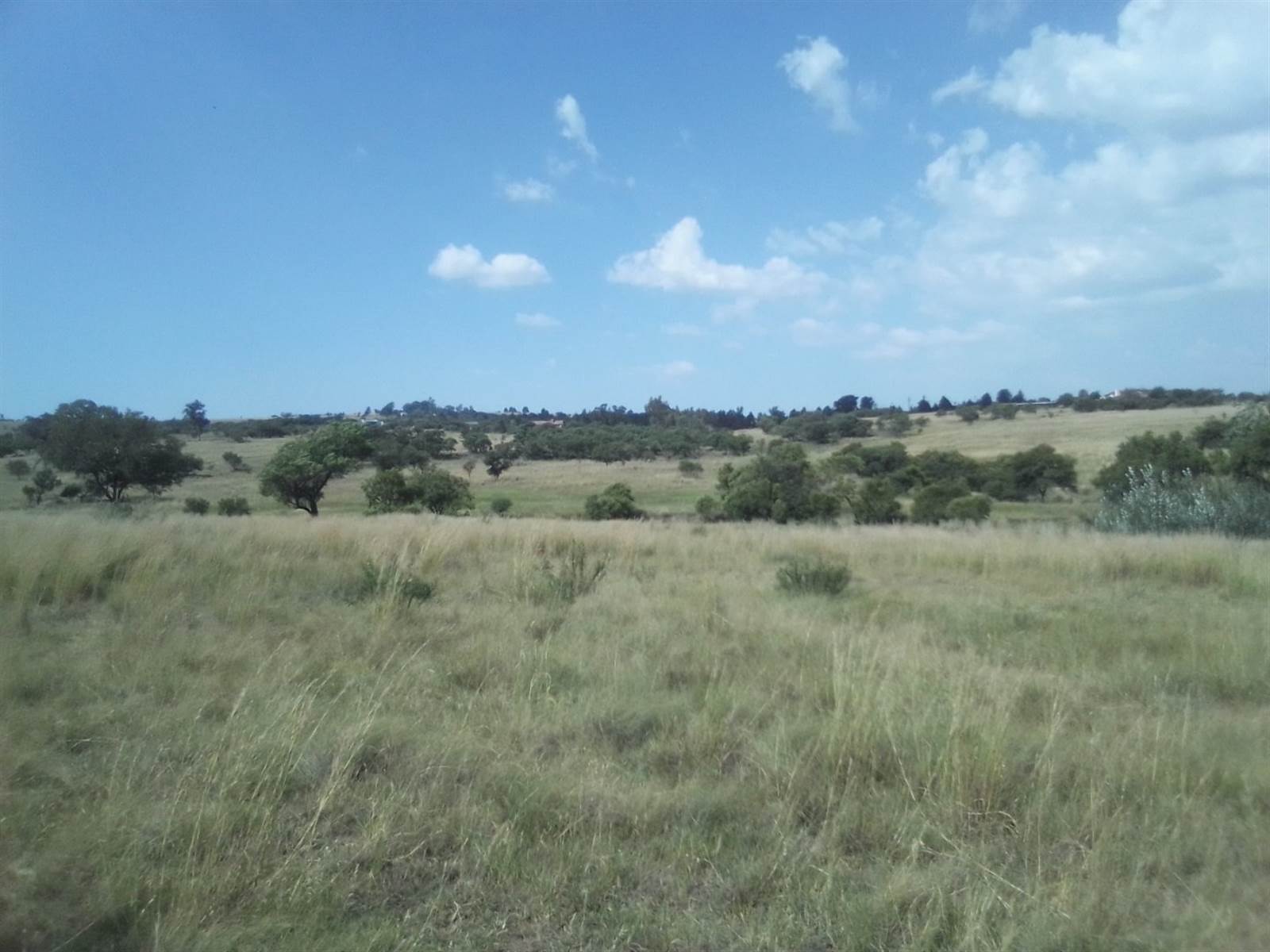 40 ha Land available in Laezonia photo number 13