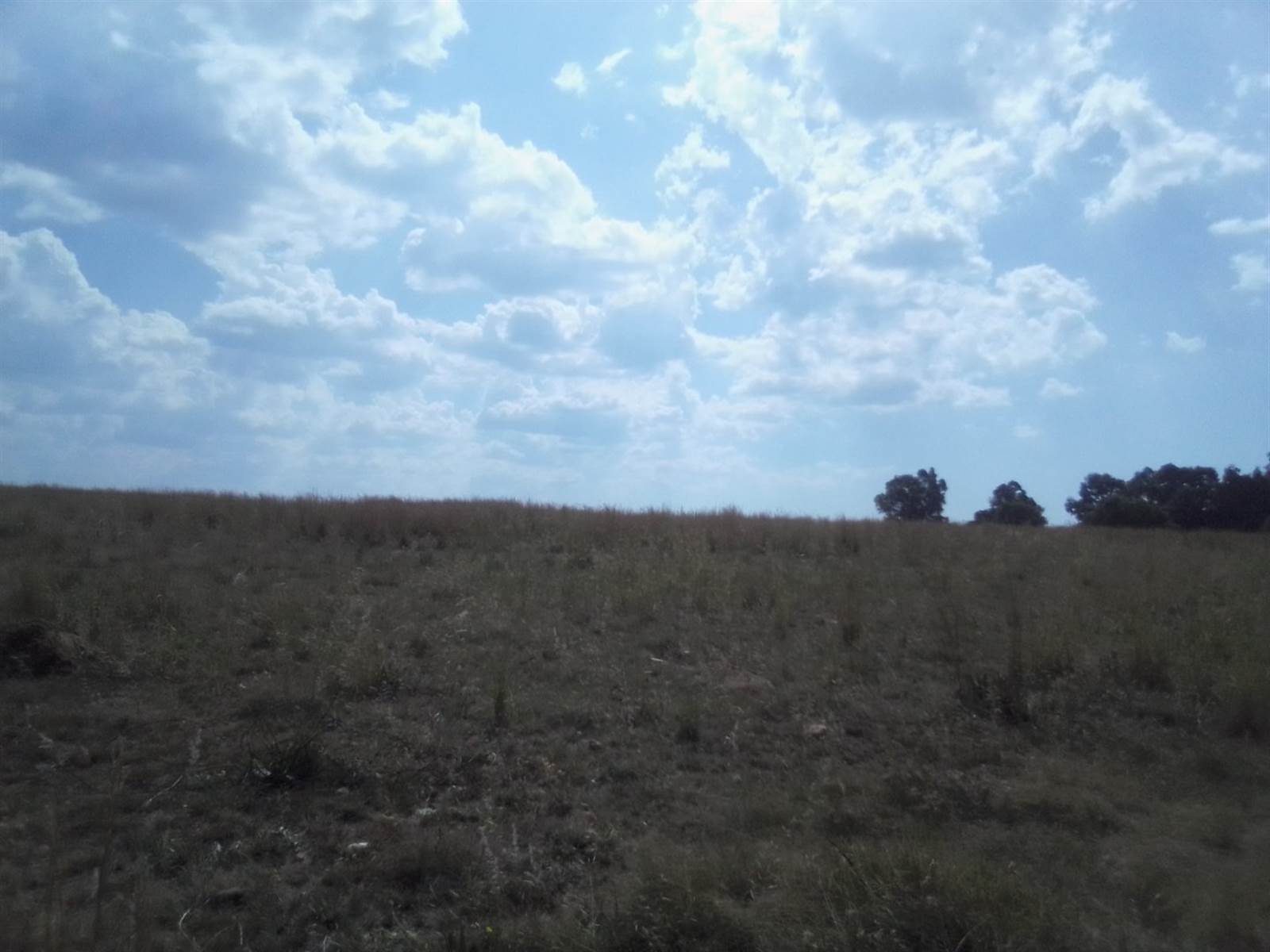 40 ha Land available in Laezonia photo number 3