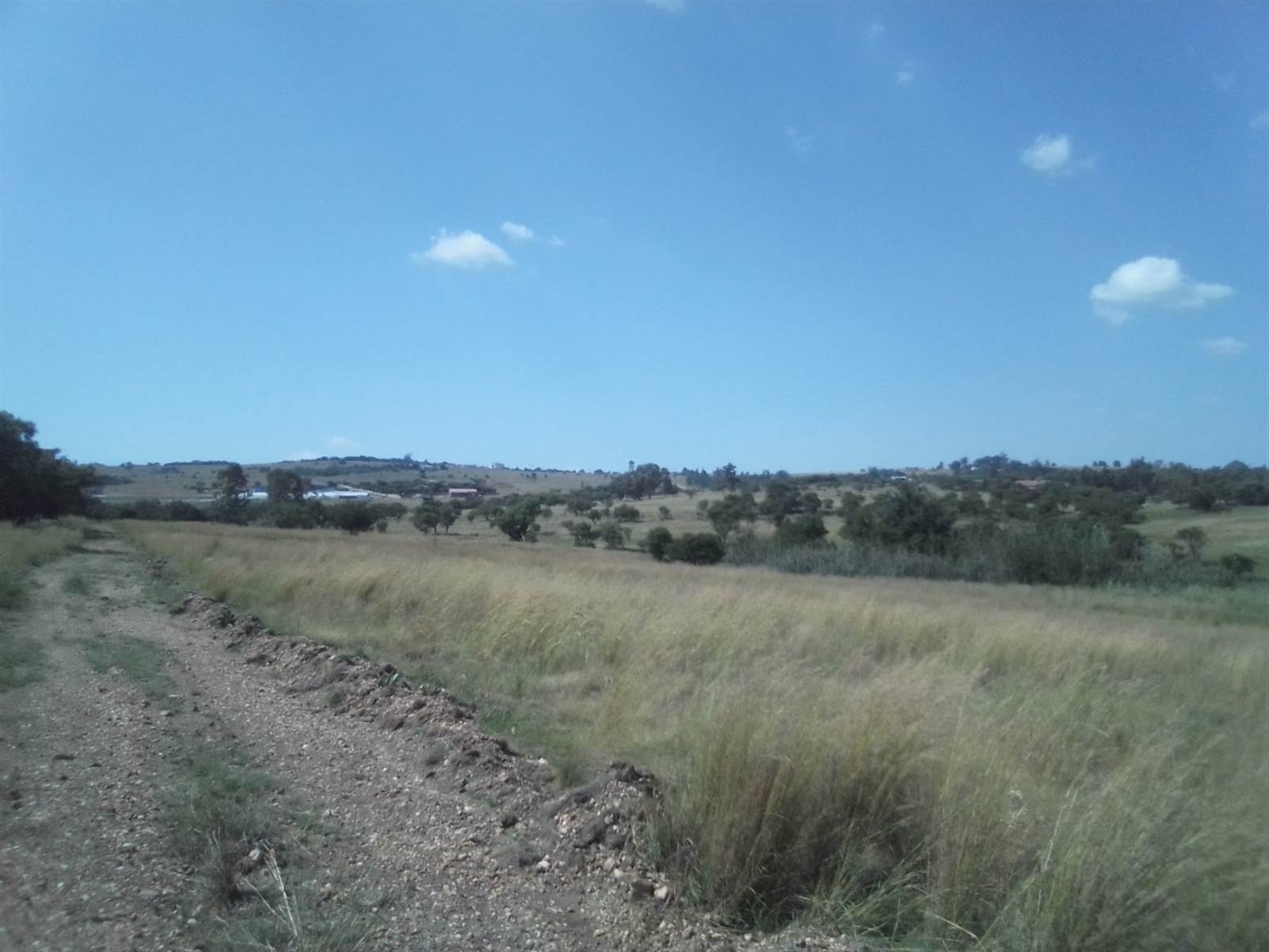 40 ha Land available in Laezonia photo number 6