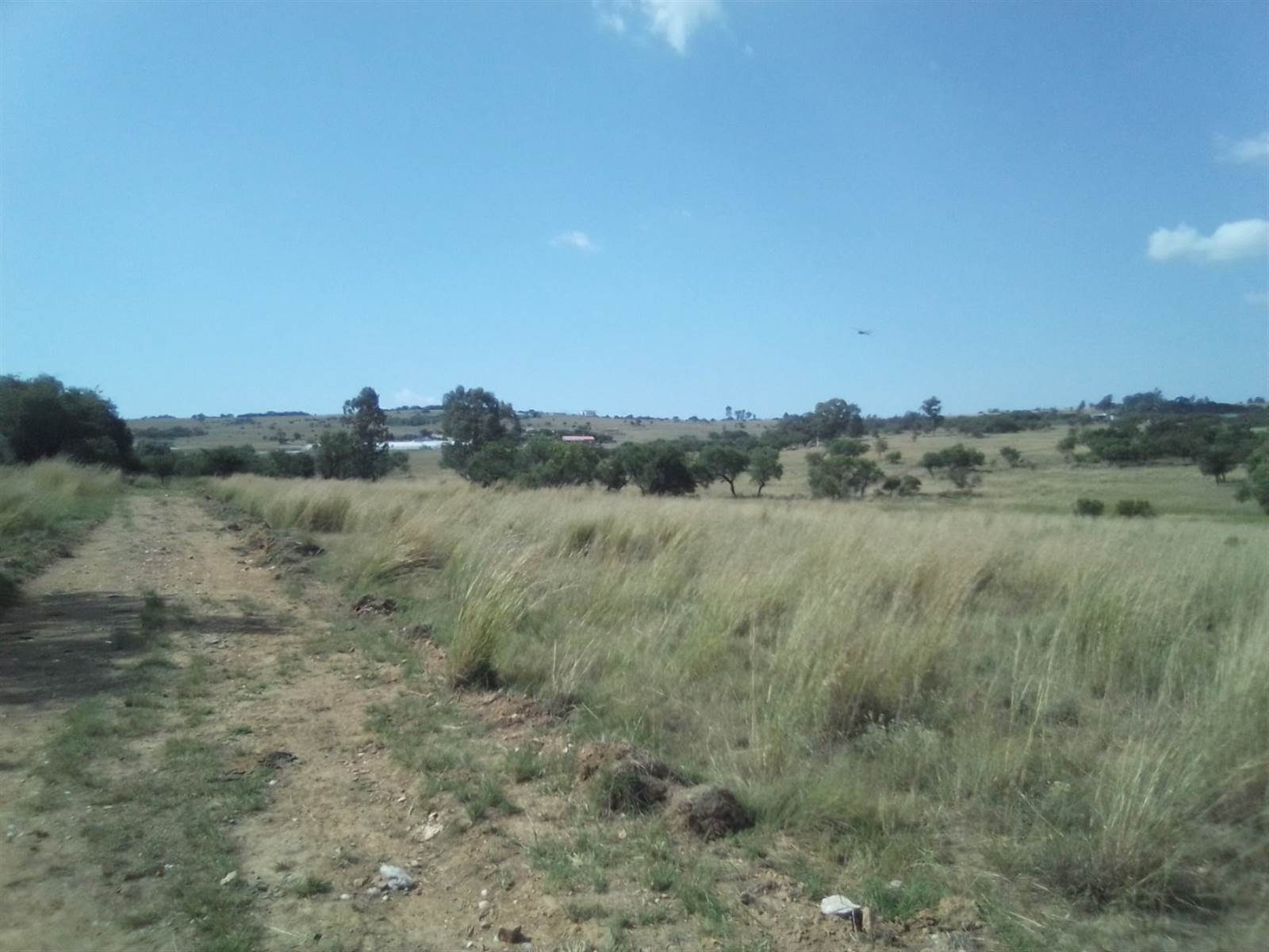 40 ha Land available in Laezonia photo number 17