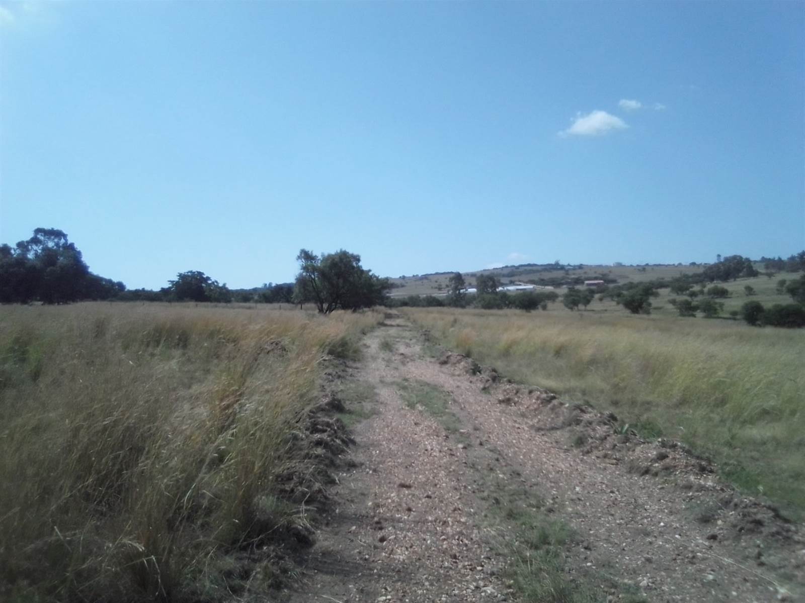 40 ha Land available in Laezonia photo number 7
