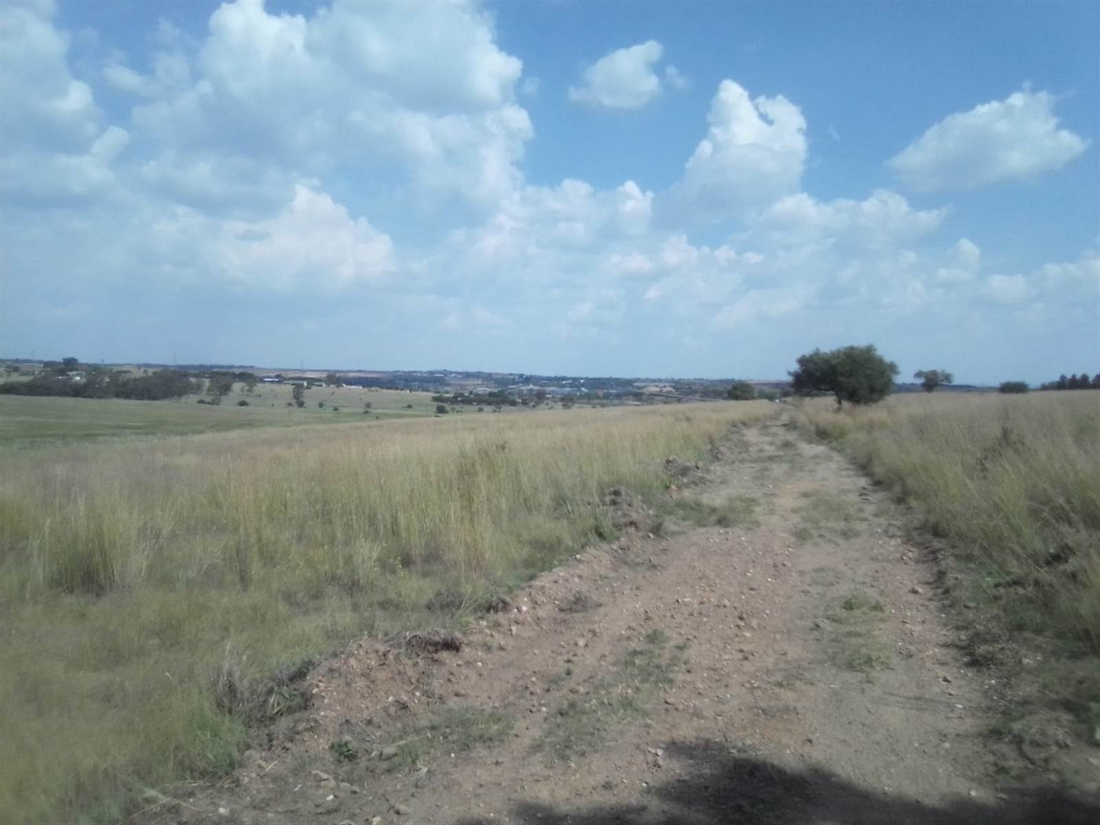 40 ha Land available in Laezonia photo number 11