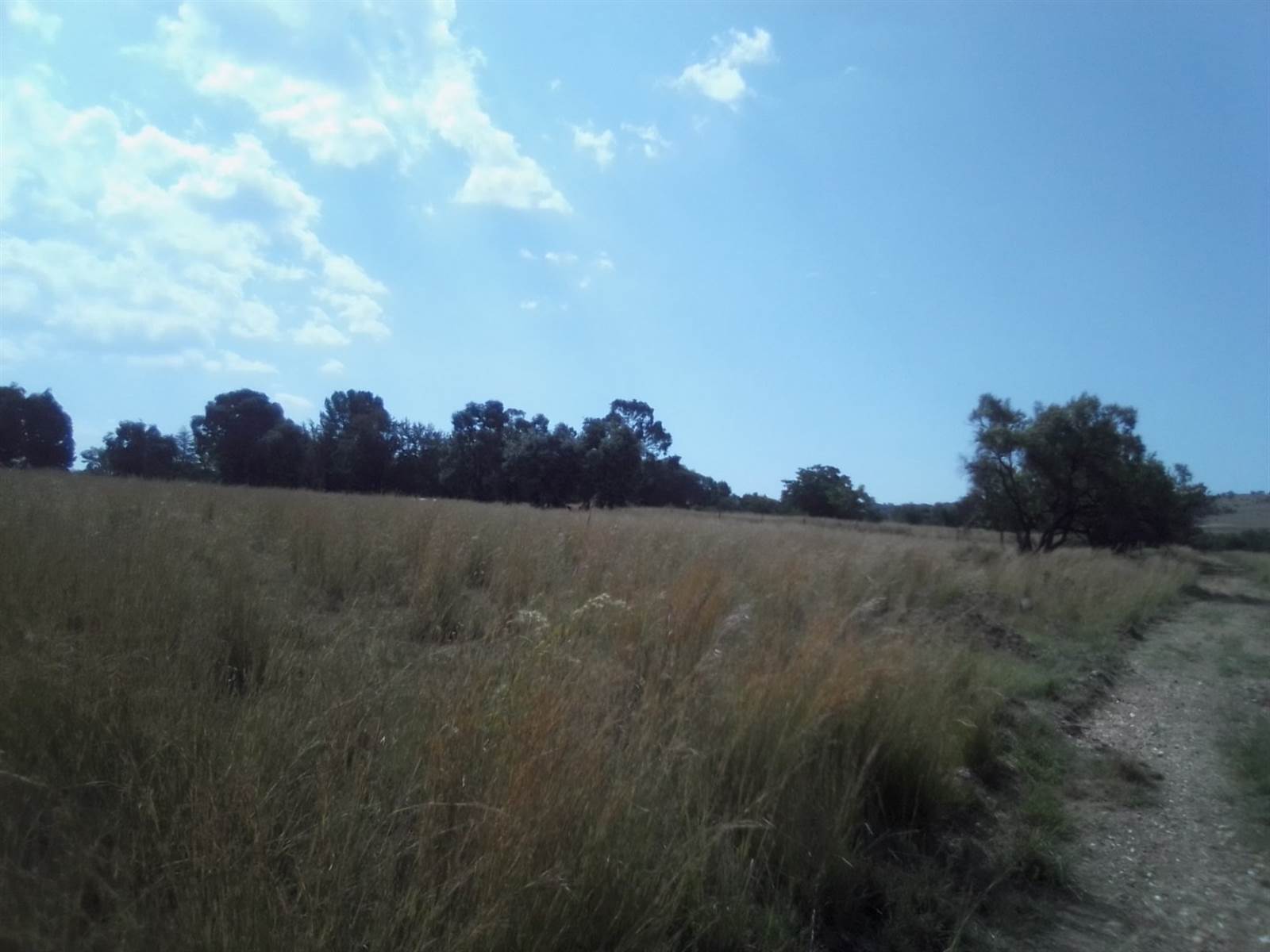 40 ha Land available in Laezonia photo number 9