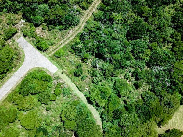 729 m² Land 729 m² Land