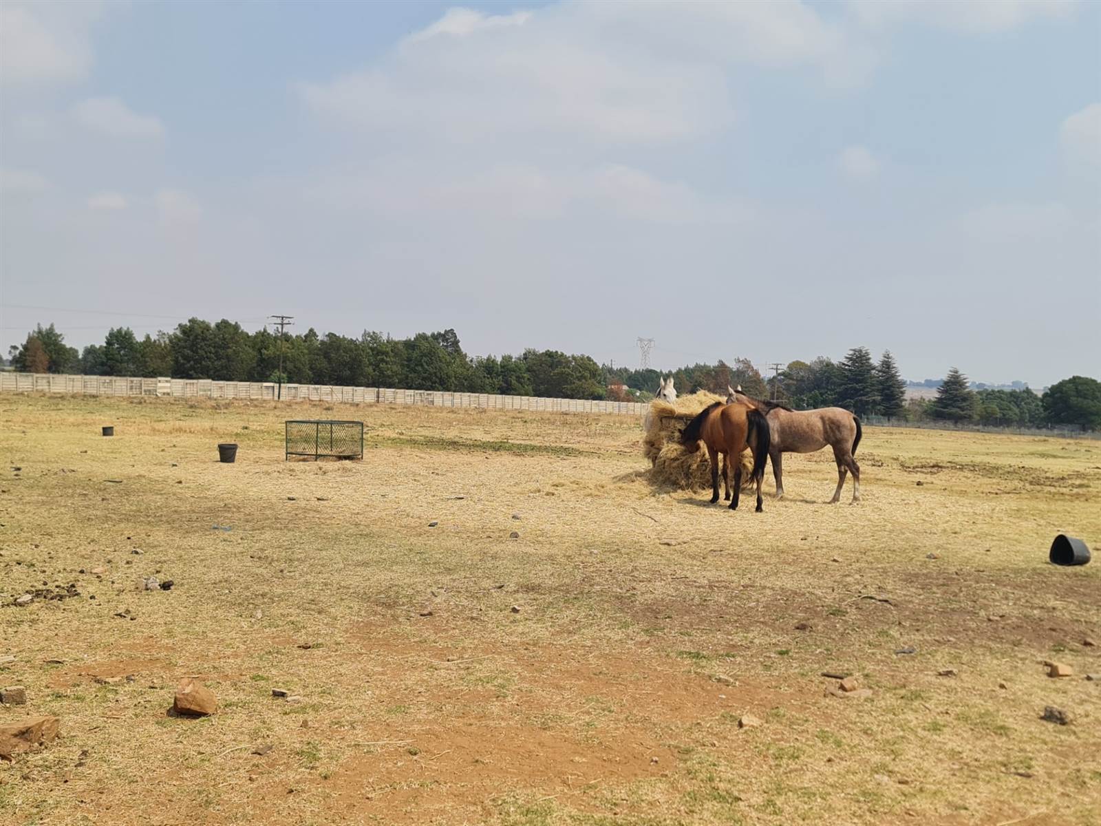 27 ha Farm in Randfontein photo number 6