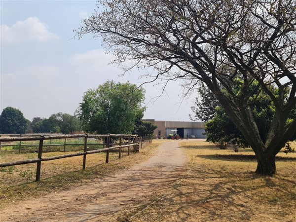 27 ha Farm in Randfontein