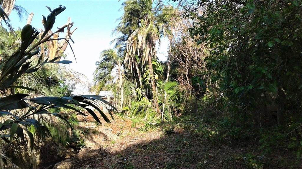 1054 m² Land available in Scottburgh Central photo number 7