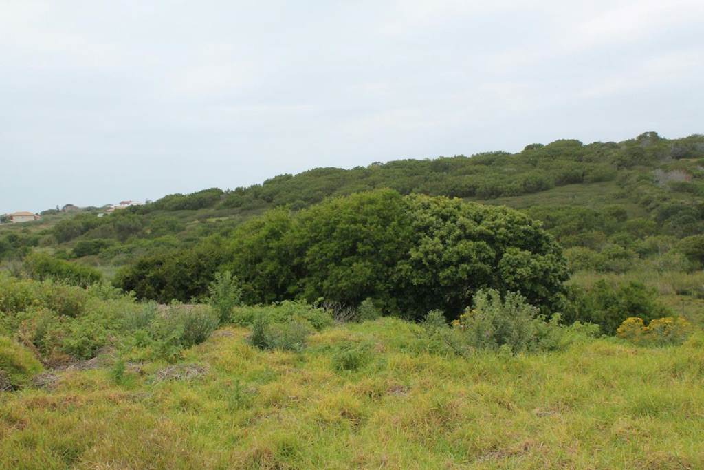1090 m² Land available in Forest Downs photo number 5