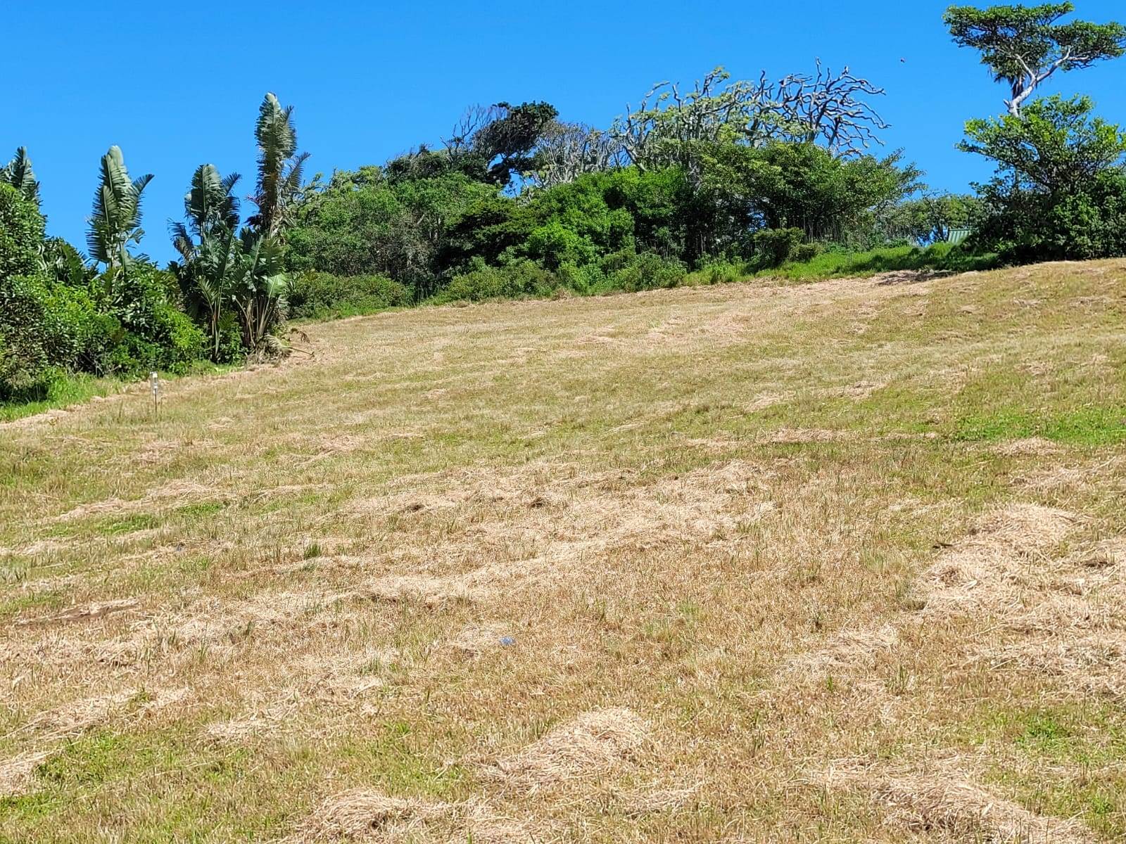 621 m² Land available in Cove Rock photo number 3