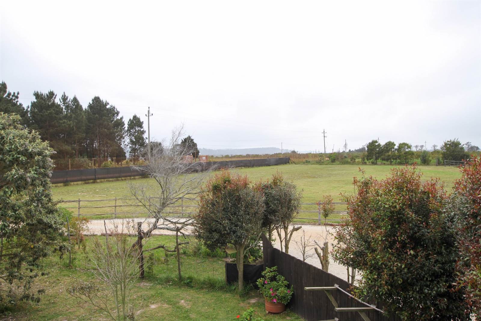 5.7 ha Smallholding in Robberg photo number 29