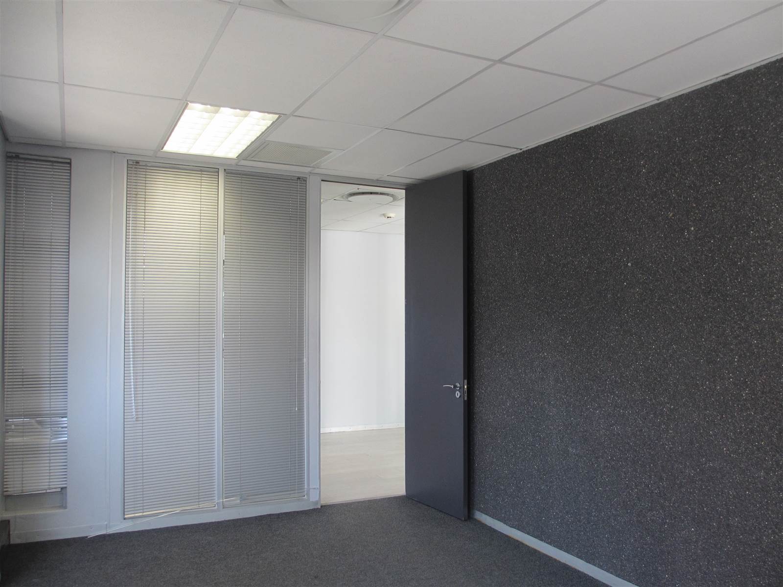 303  m² Commercial space in Fourways photo number 10