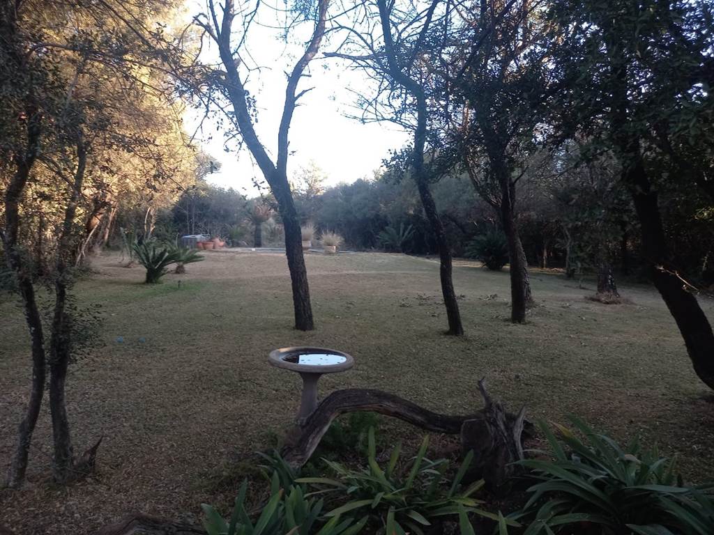 4 ha Farm in Kameelfontein and surrounds photo number 19