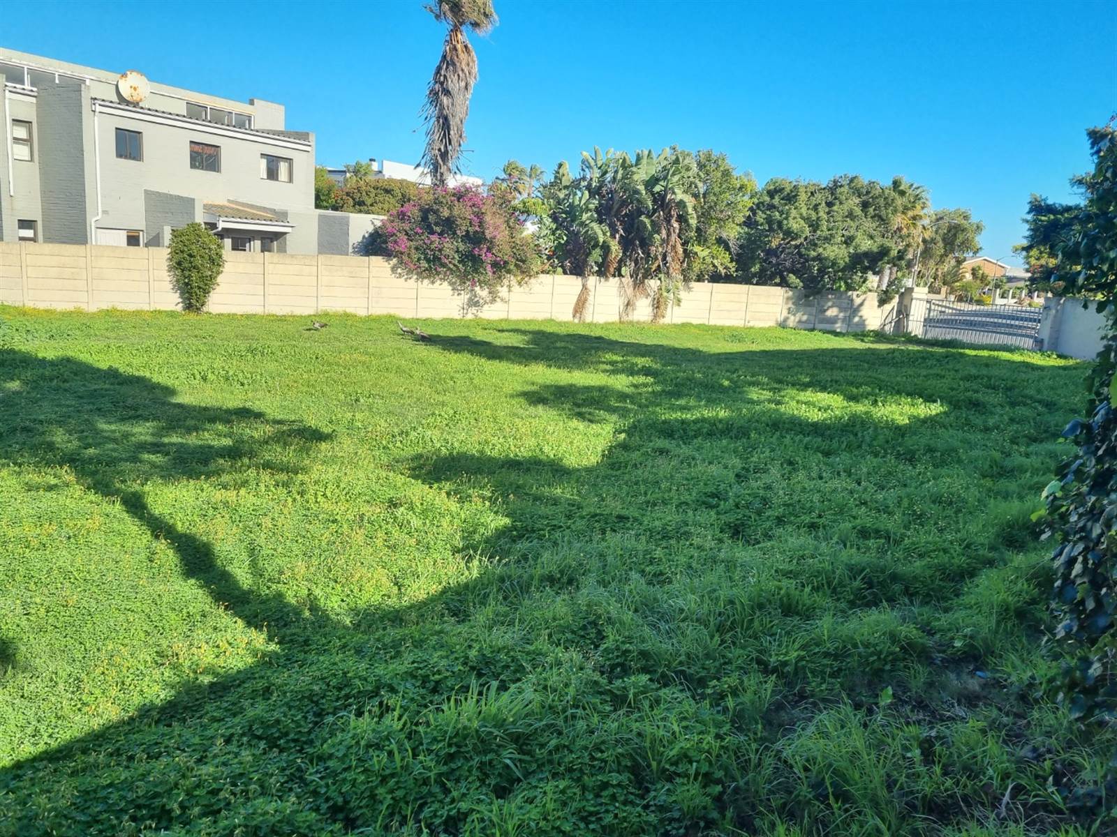 923 m² Land available in Flamingo Vlei photo number 5
