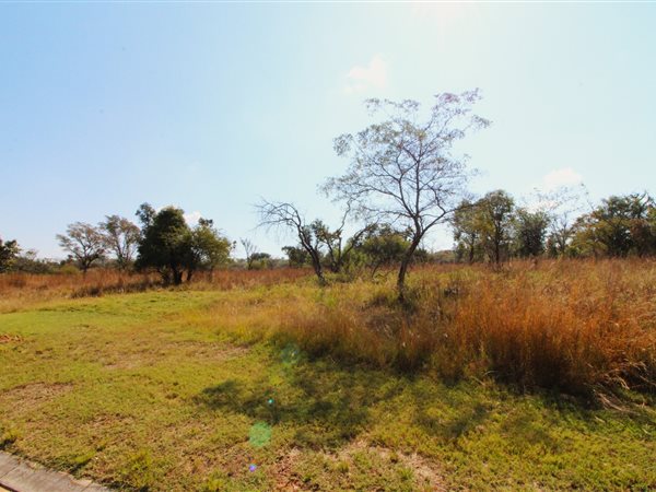 1500 m² Land available in Modimolle