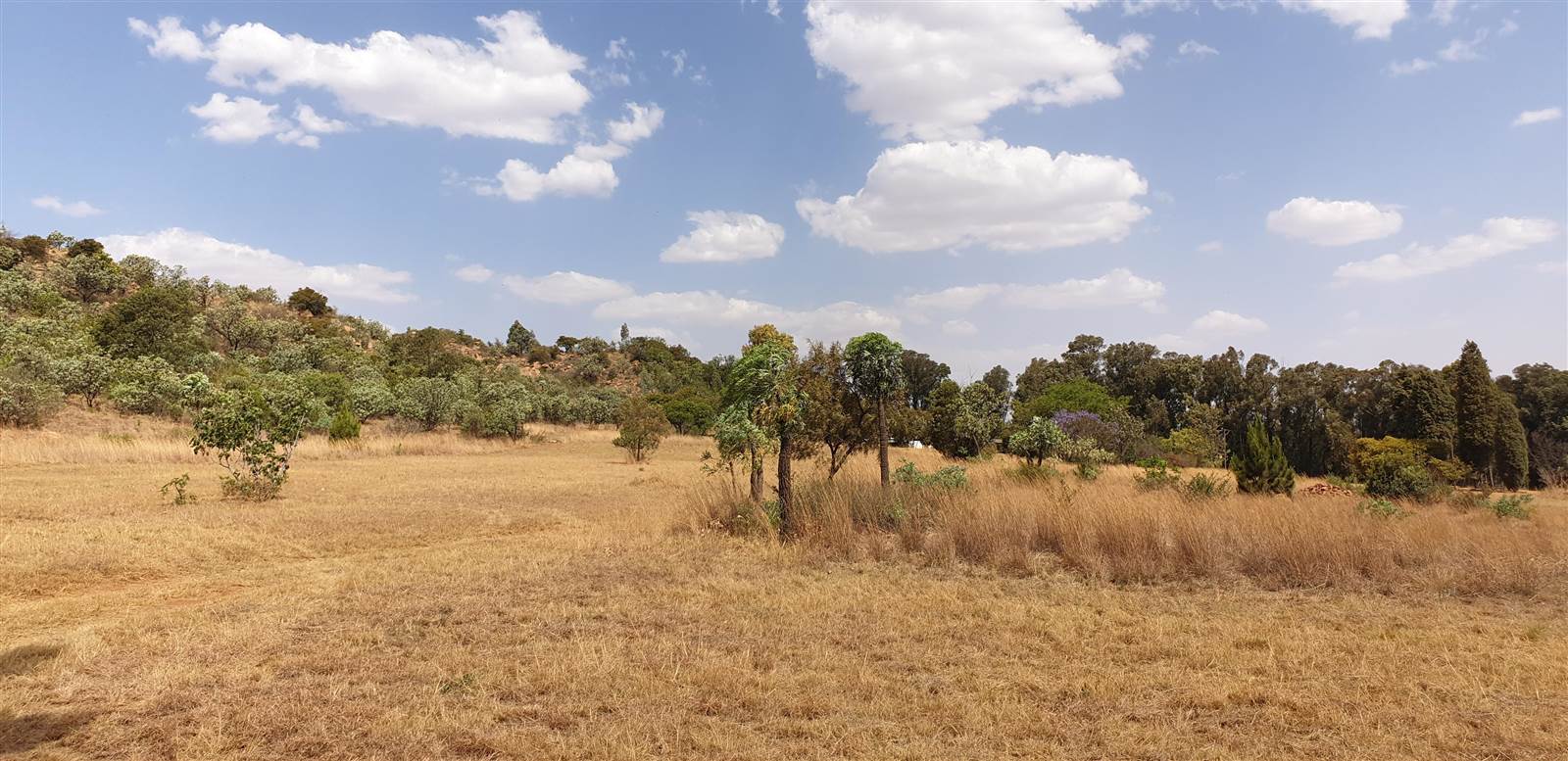 11.3 ha Land available in Zwavelpoort photo number 4