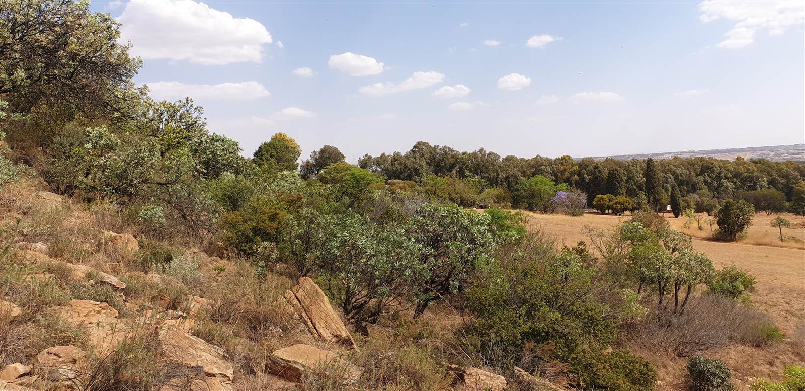 11.3 ha Land available in Zwavelpoort photo number 10