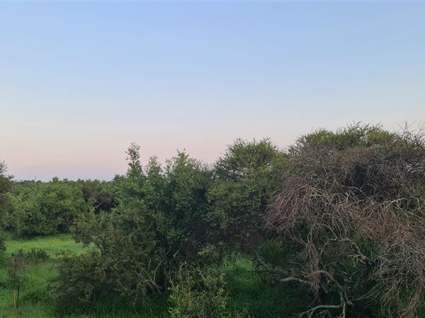 1 ha Land 1 ha Land