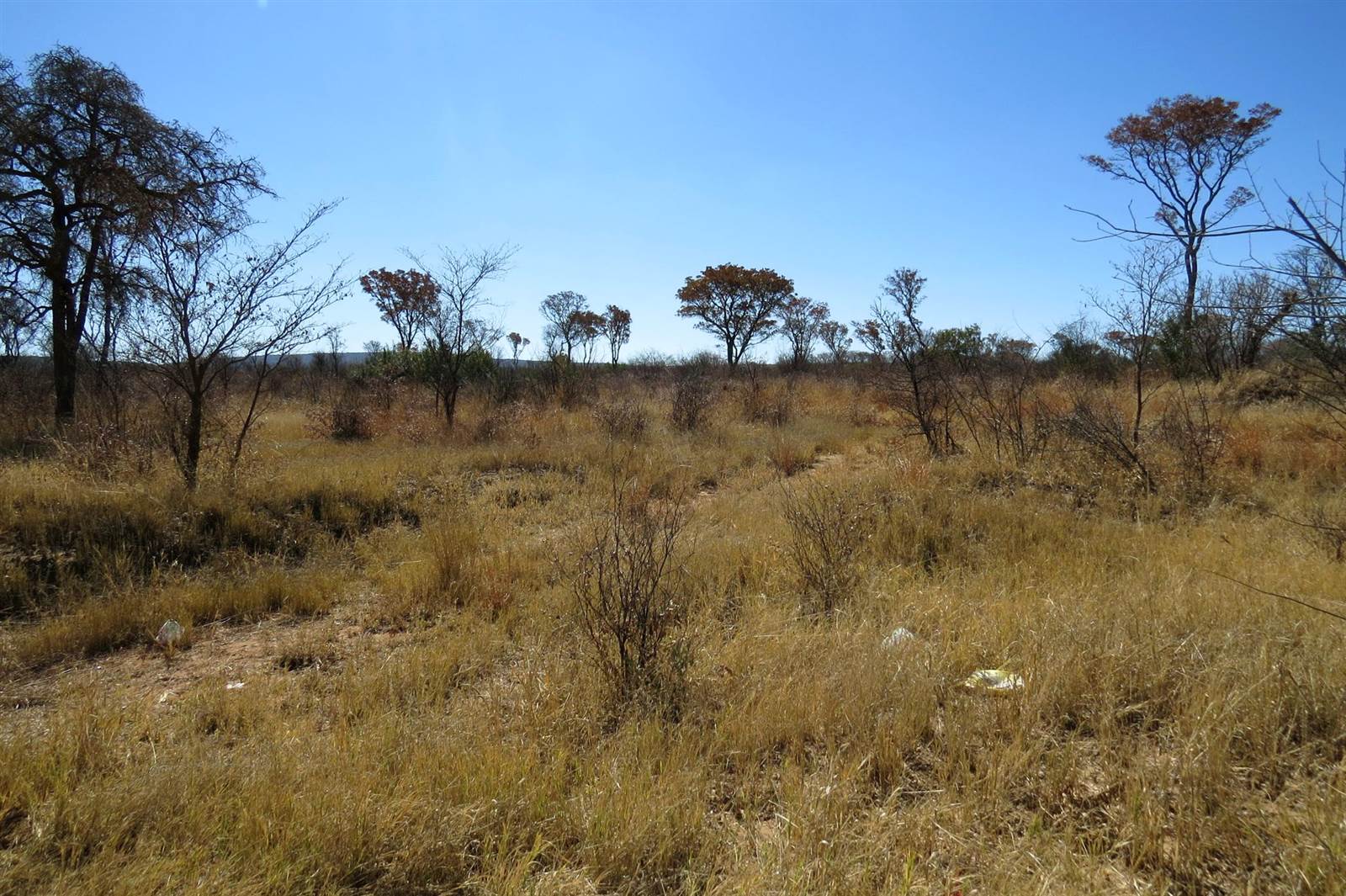 65 ha Land available in Modimole (Nylstroom) photo number 2