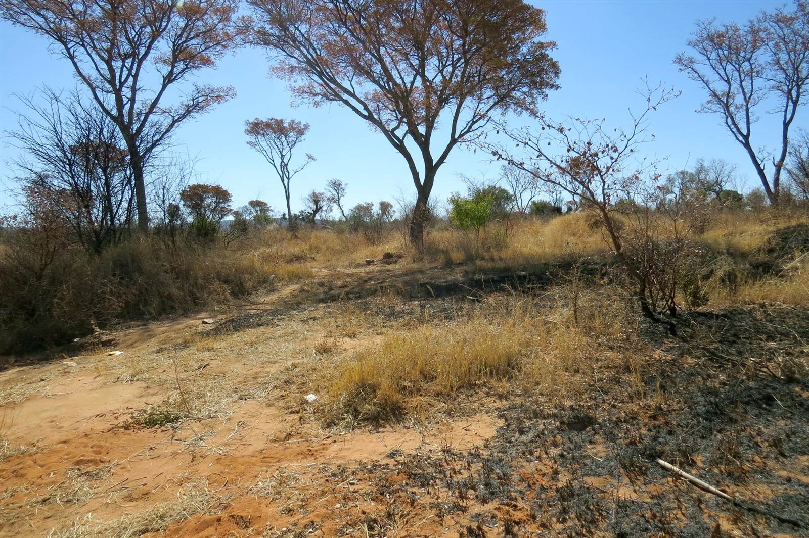 65 ha Land available in Modimole (Nylstroom) photo number 3