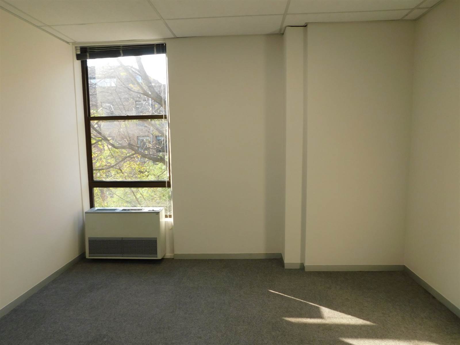 630  m² Office Space in Rosebank photo number 8