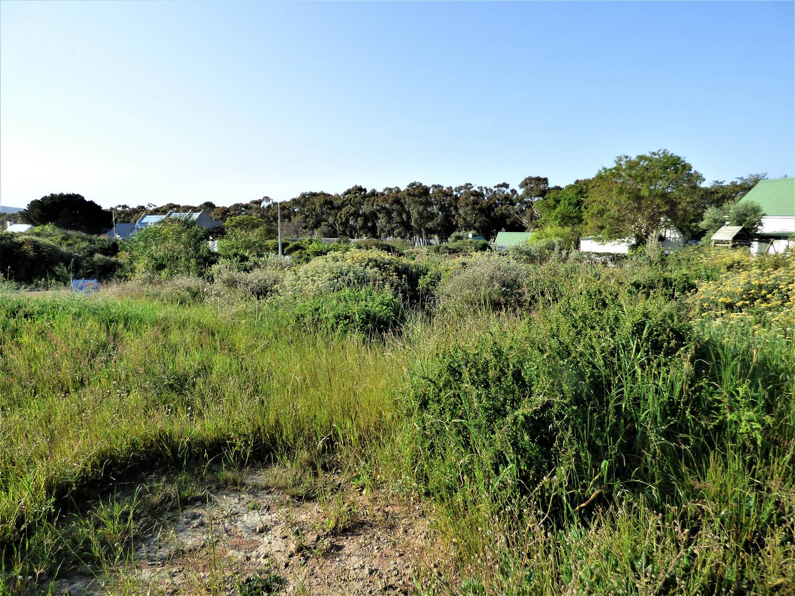 394 m² Land available in Darling photo number 5