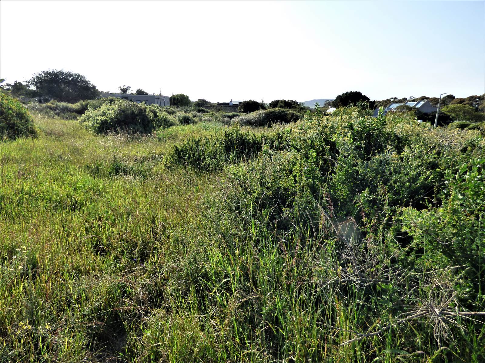 394 m² Land available in Darling photo number 6