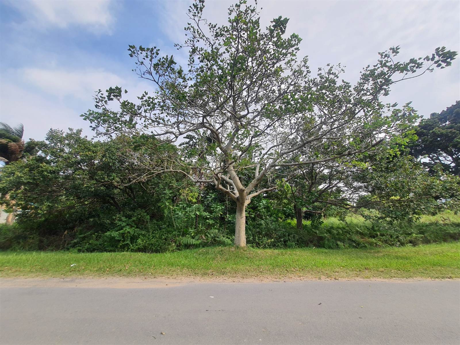 1036 m² Land available in Port Edward photo number 4