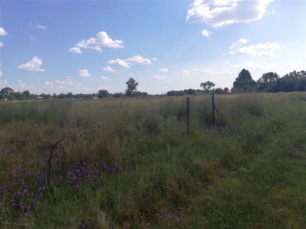 2.4 ha Land available in Mooilande