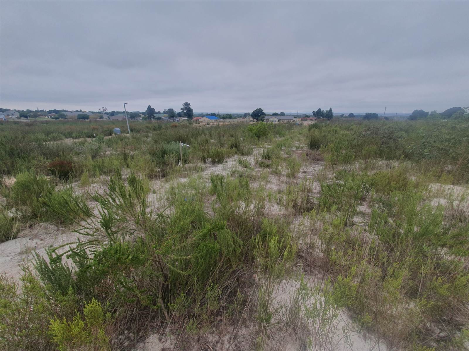 262 m² Land available in Albertinia photo number 2