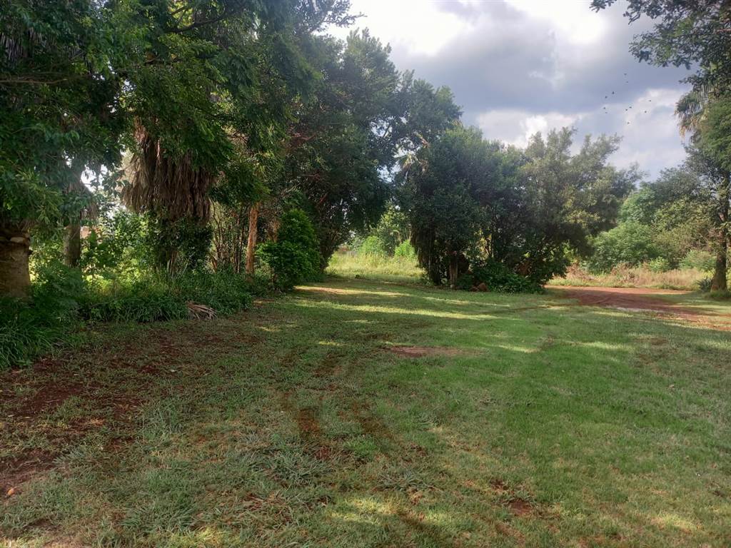 8.5 ha Smallholding in Mamogaleskraal A H photo number 15