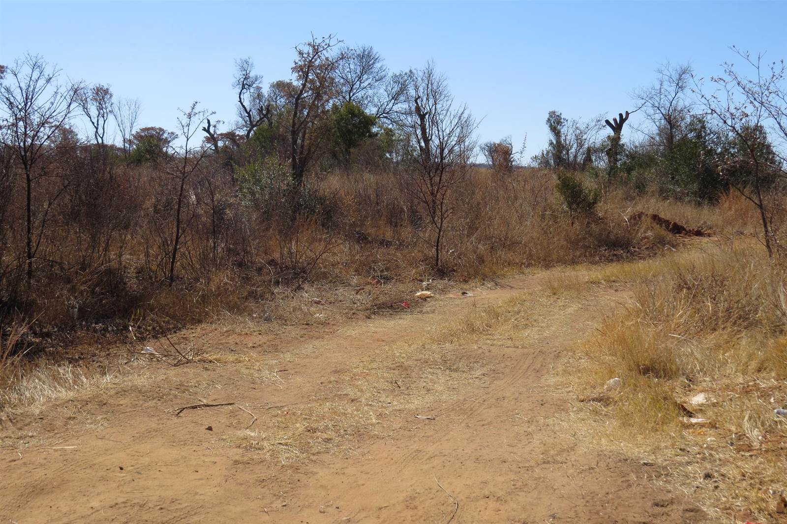 10 ha Land available in Modimole (Nylstroom) photo number 4
