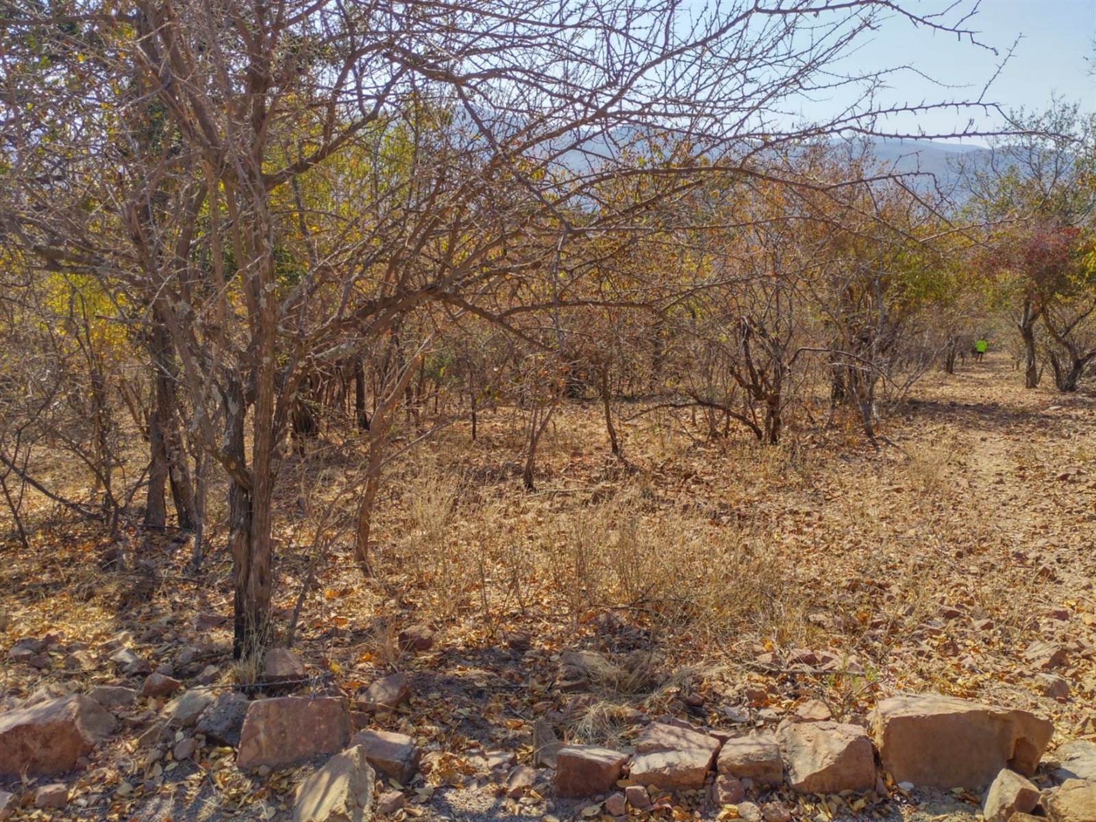 4802 m² Land available in Thabazimbi photo number 3