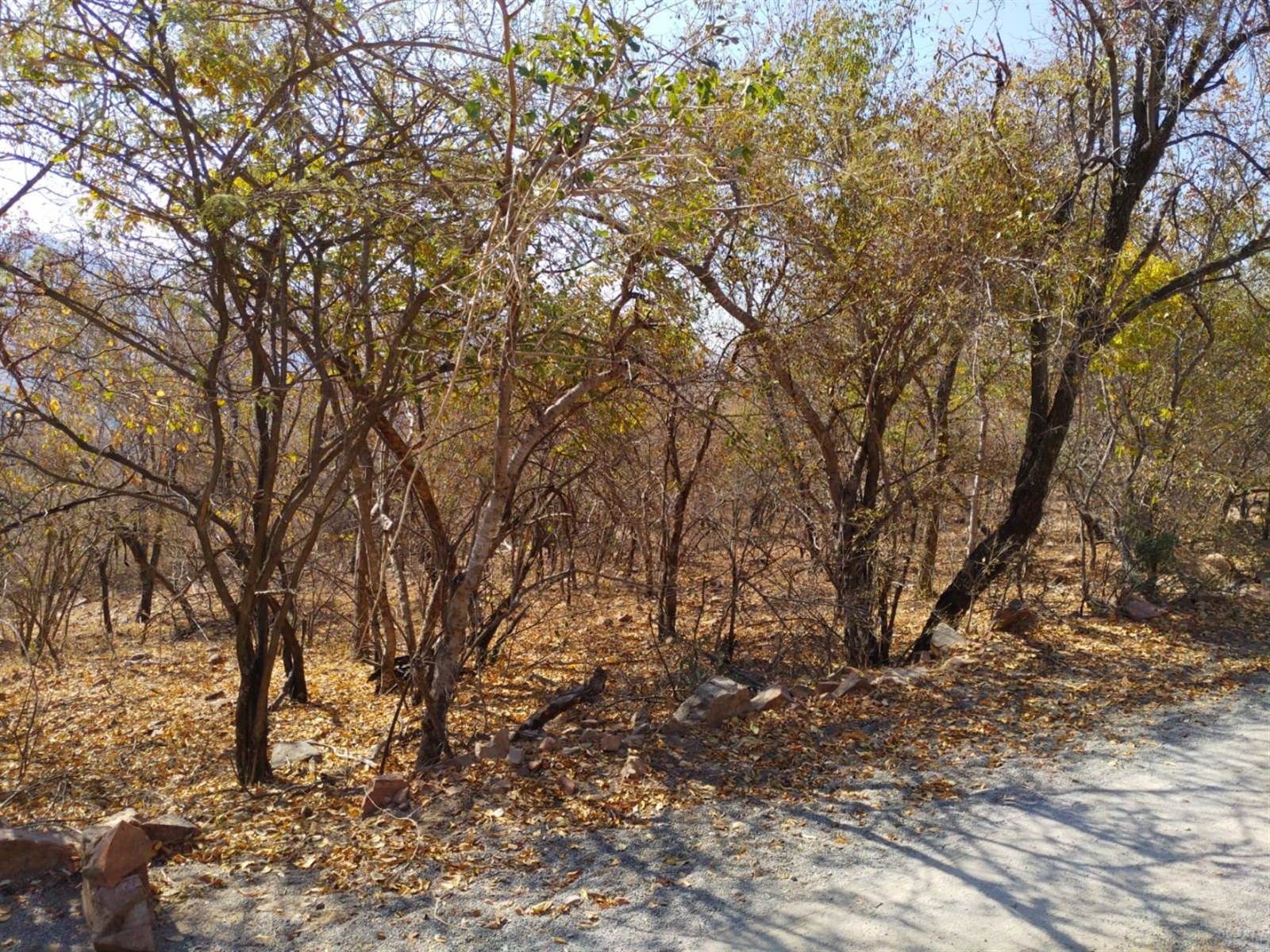 4802 m² Land available in Thabazimbi photo number 1