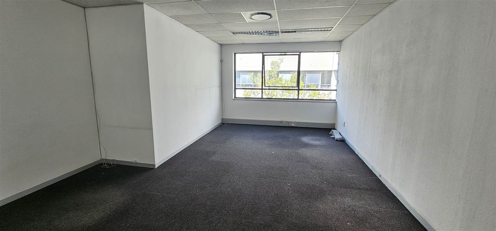 251  m² Commercial space in Bedfordview photo number 5