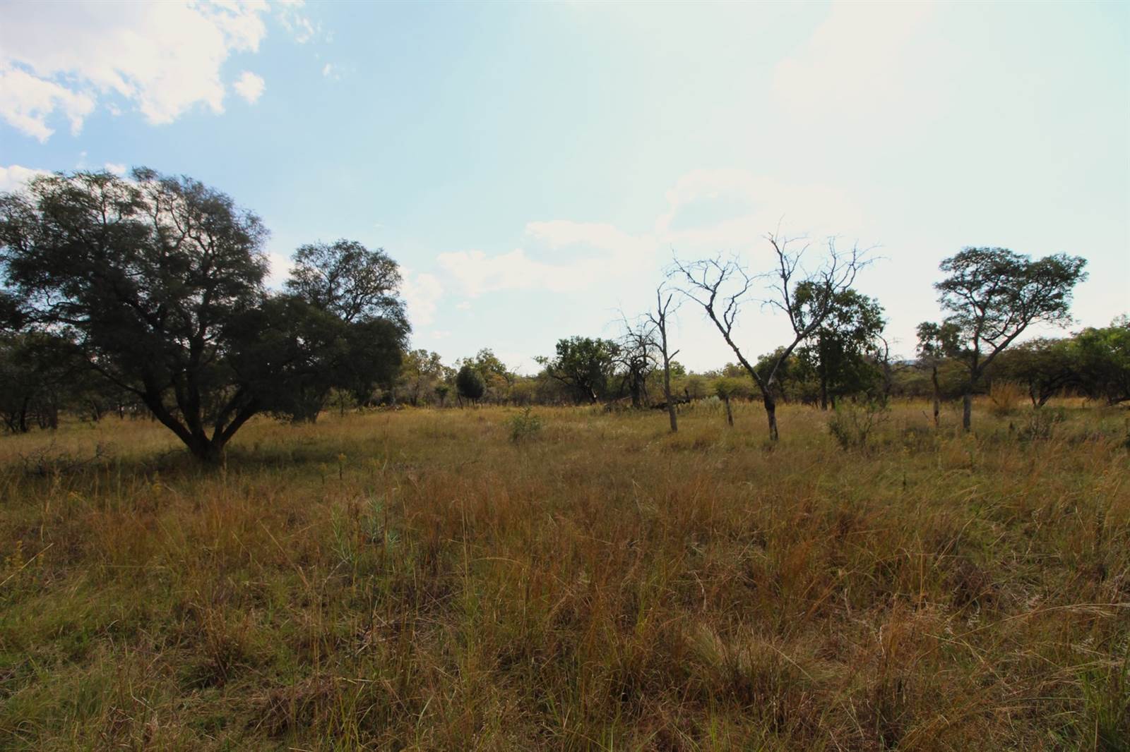 1112 m² Land available in Modimolle photo number 3