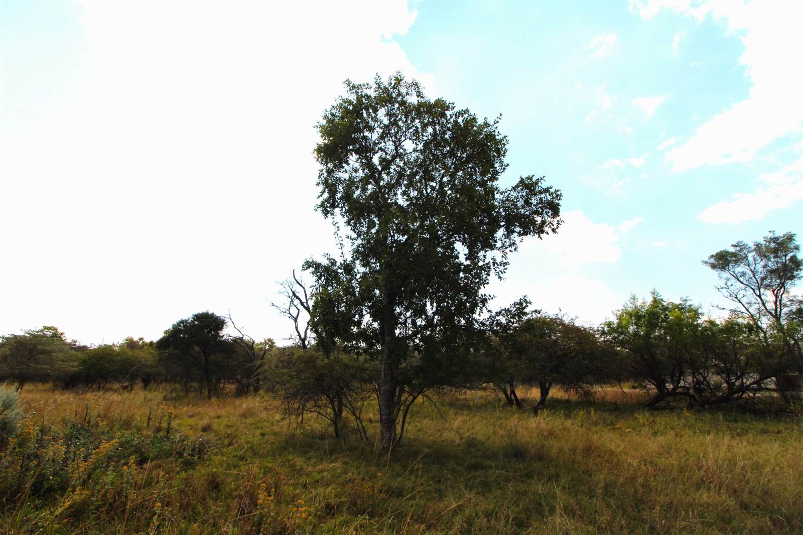 1112 m² Land available in Modimolle photo number 5