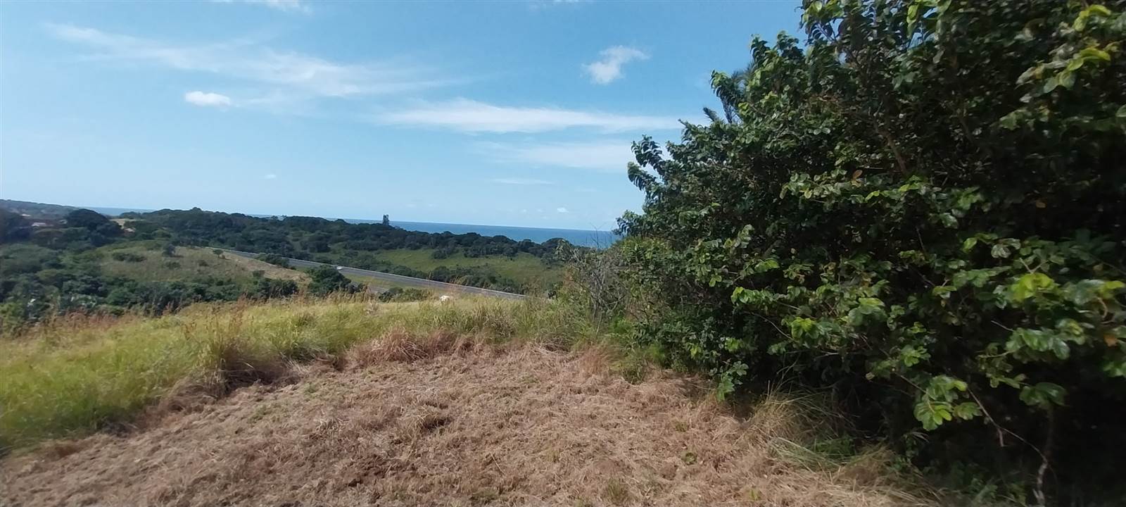3576 m² Land available in Elysium photo number 4