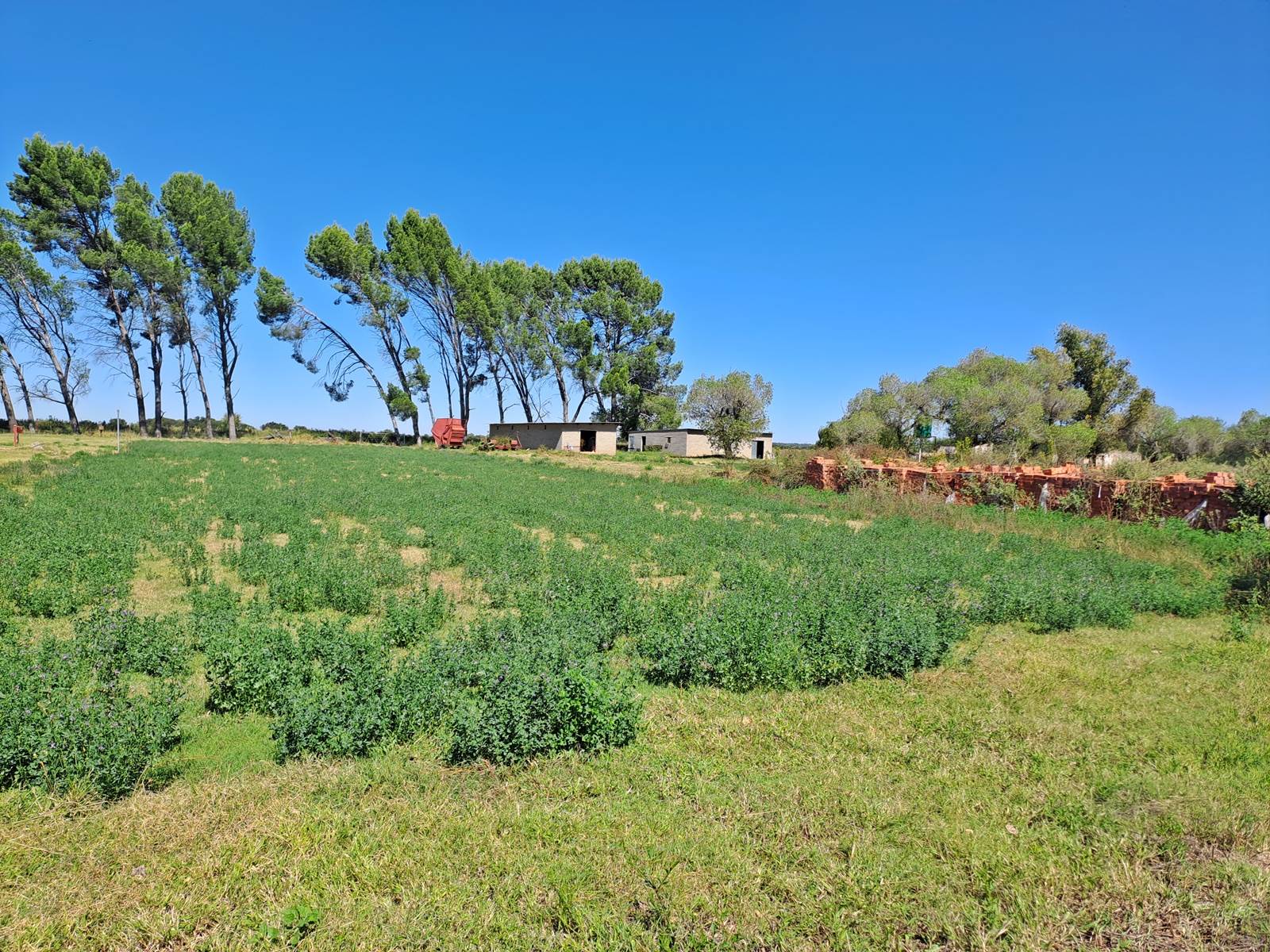 30 ha Farm in Bloemfontein photo number 24