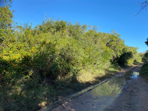 2136 m² Land available in Bathurst and Surrounds