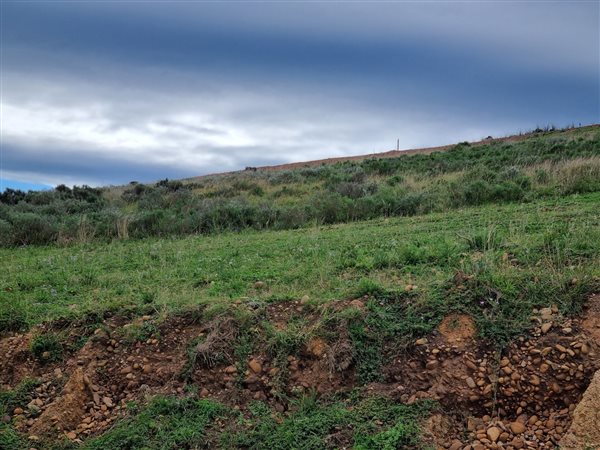 1506 m² Land available in Hartenbos
