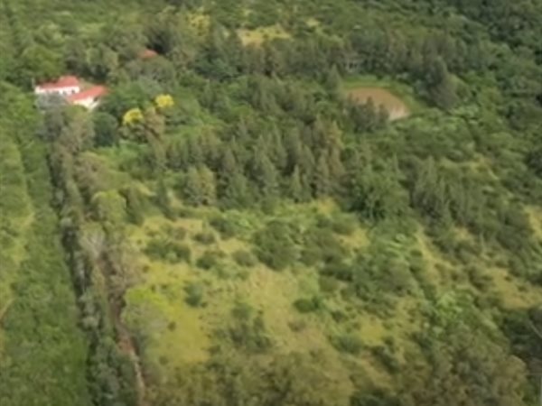 10.3 ha Smallholding