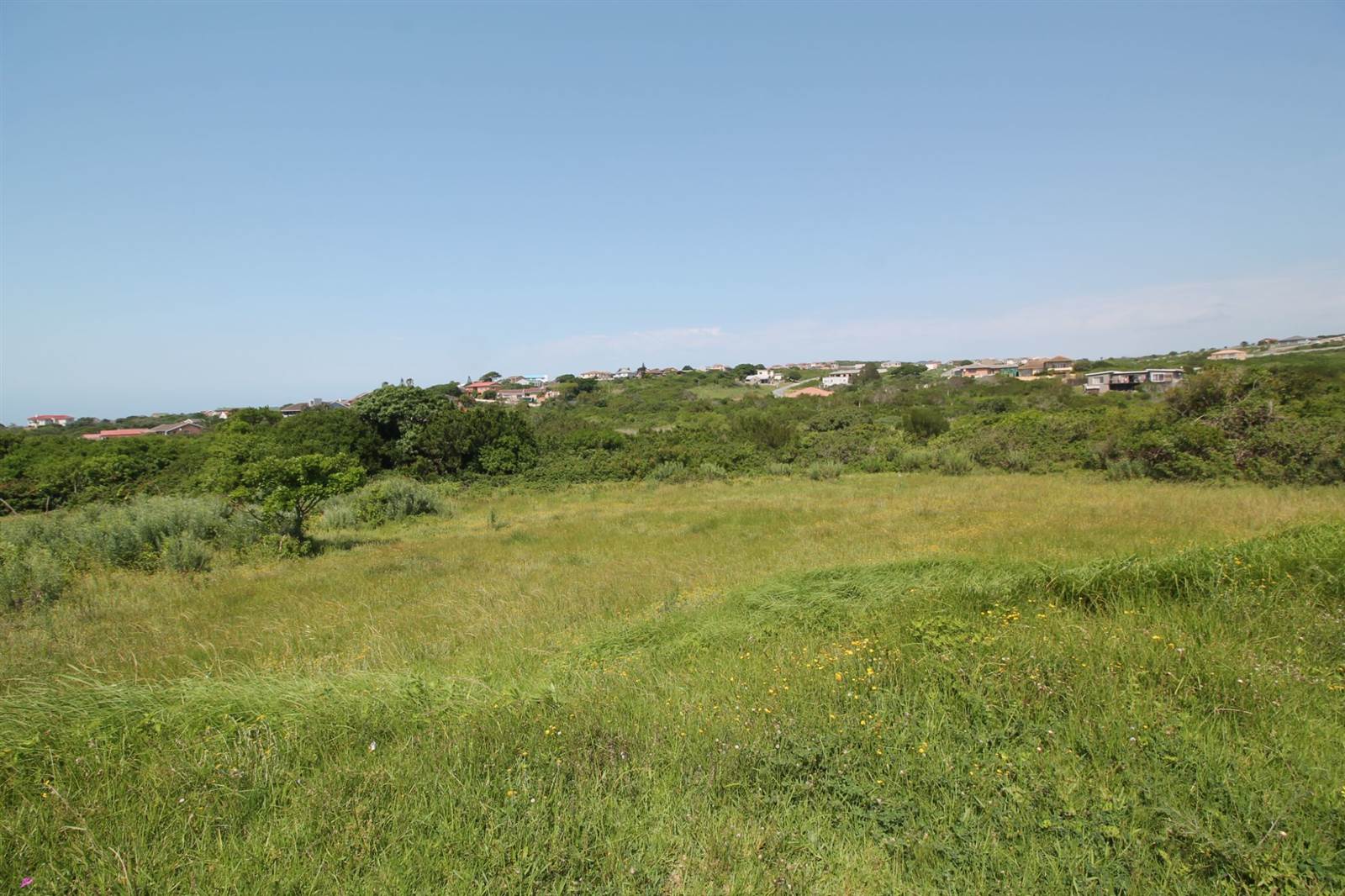 1175 m² Land available in Forest Downs photo number 3