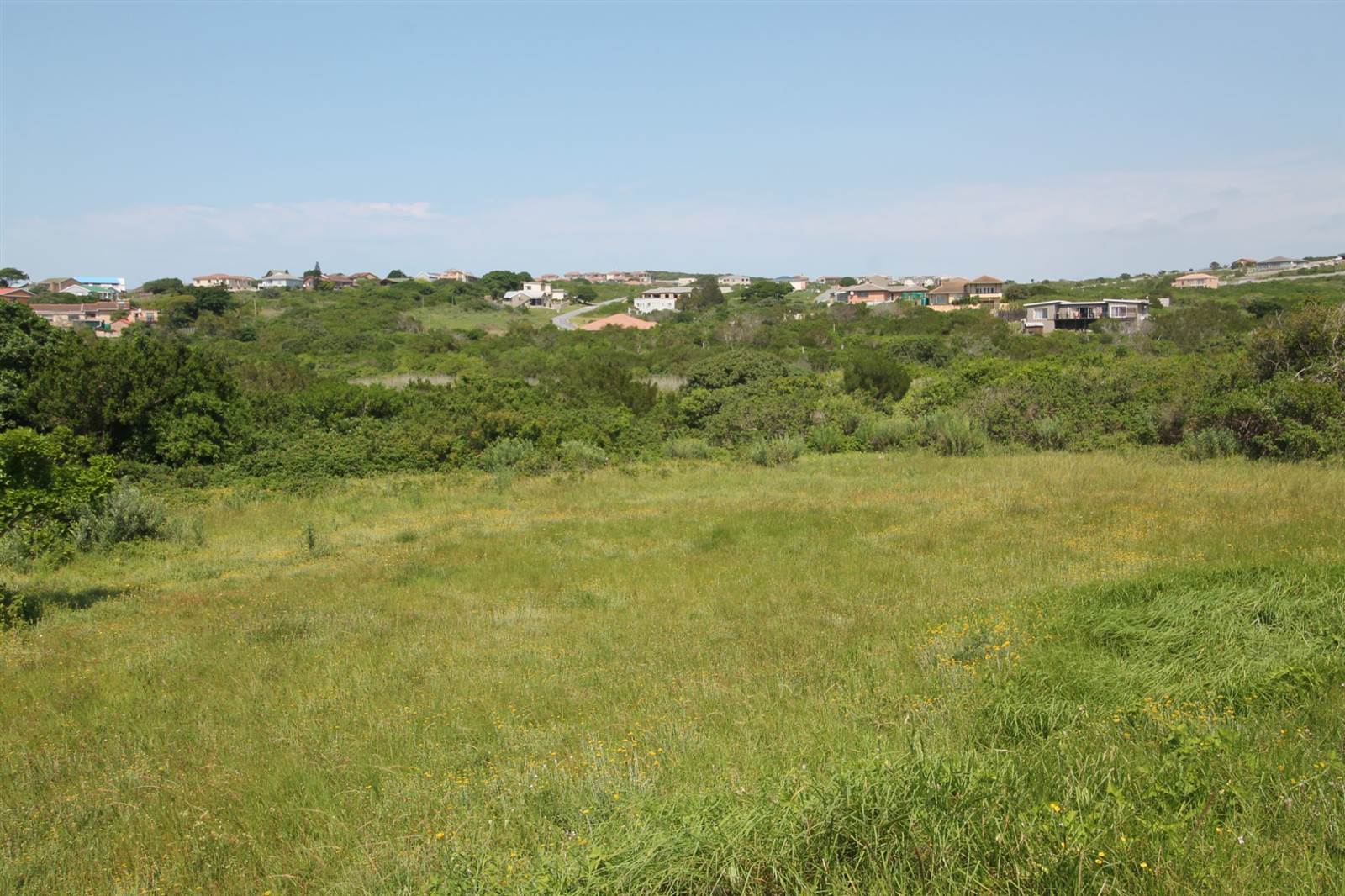1175 m² Land available in Forest Downs photo number 4