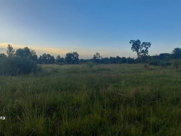 1.5 ha Land available in Riversdale